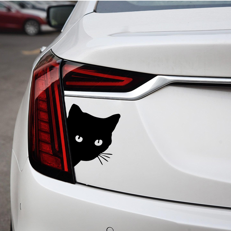 Car interior stickers black/wh - Laser Controller Board ulasan dan harga